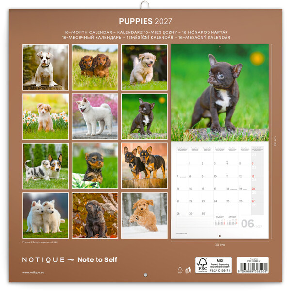 Notique Poznámkový Kalendář Štěňata 2027, 30 x 30 cm - Východní
