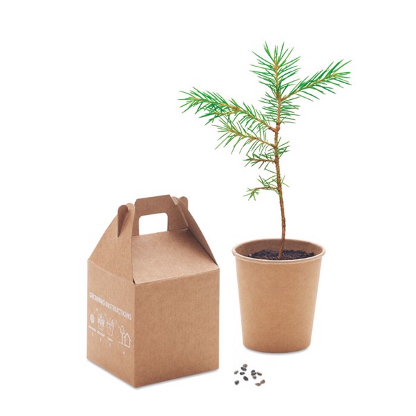 Growtree pine seed set, paper, made in EU
