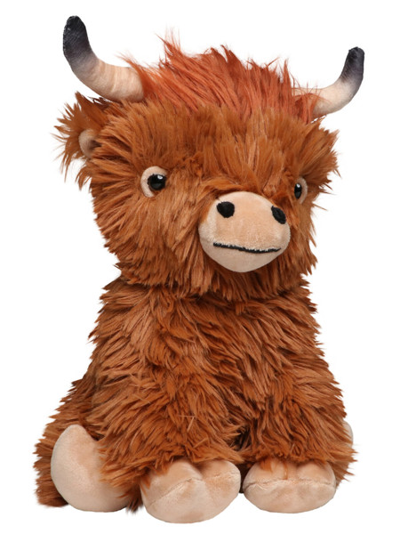 Scottish Highland Cattle Bobby