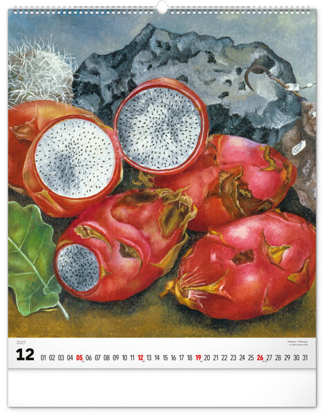 Notique Nástěnný Kalendář Frida Kahlo 2027, 48 x 56 cm