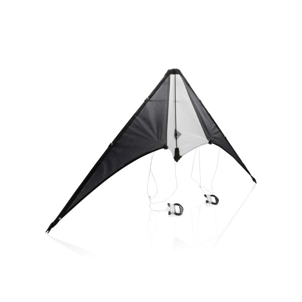 XD - Delta kite