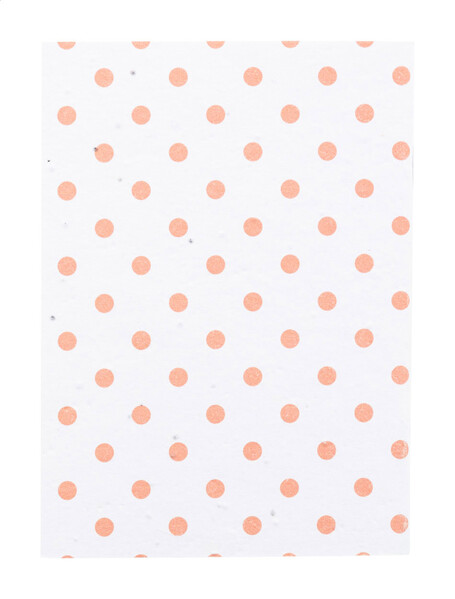 Custom Seed Paper Notebook CreaNote A6 Seed