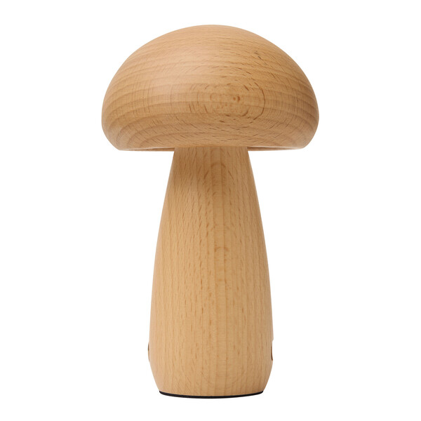 Led Desk Lamp Mosslight