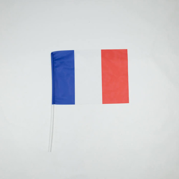 Flag With Customizable Tube