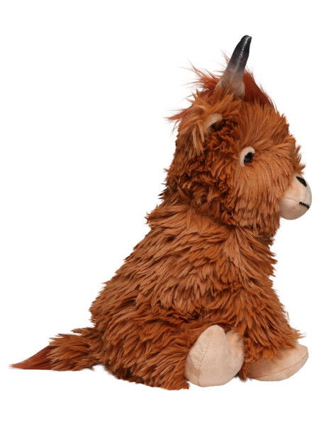 Scottish Highland Cattle Bobby