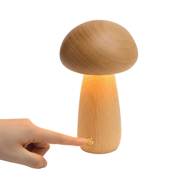 Led Desk Lamp Mosslight