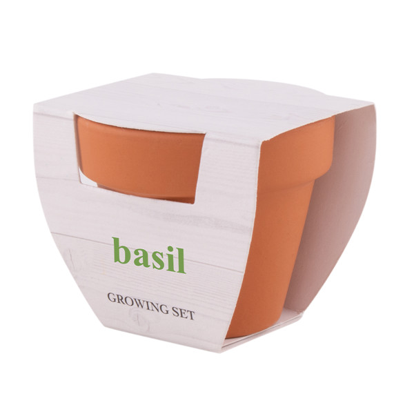 VASO BASIL
