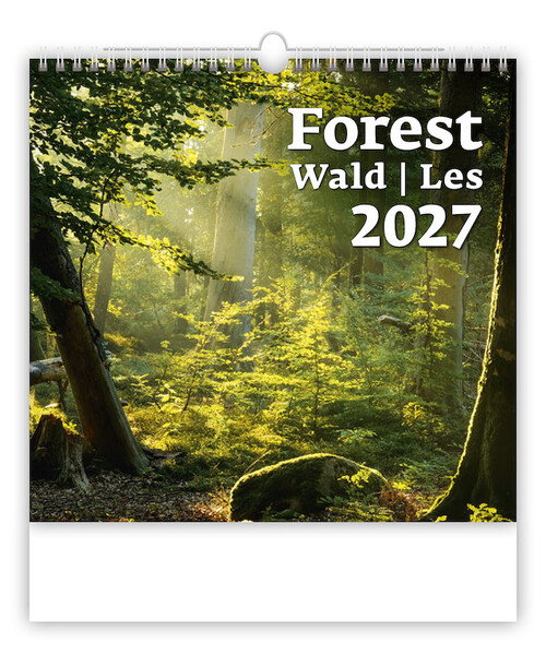 Nástěnný kalendář Les 2027