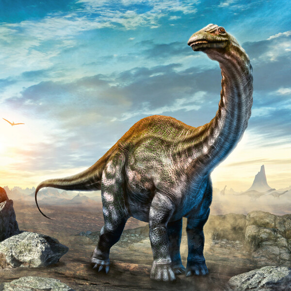 Notique Poznámkový Kalendář Dinosauři 2027, 30 x 30 cm - Východní