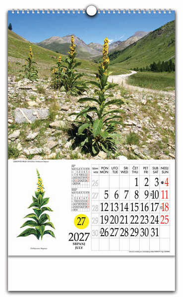 Zidni kalendar s rotacijskim krugom – Ljekovito bilje