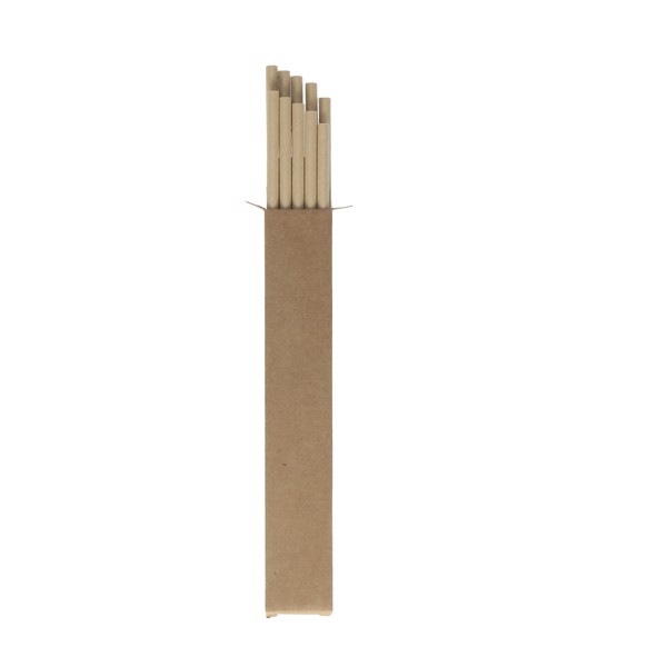 Pack Of 10 Paper Straws "Nature"