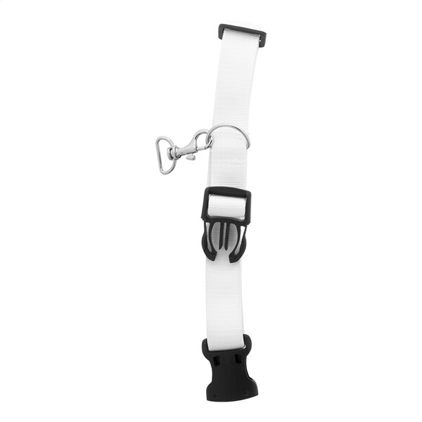 Custom Dog Collar Ziggy