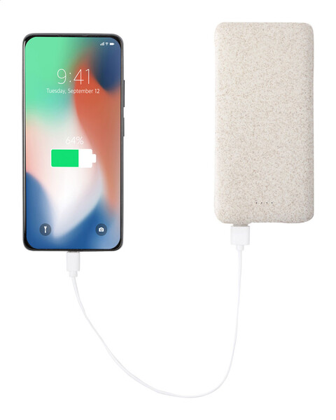 Power Bank Surum XL
