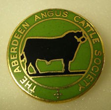 Lapel PIN with Stamped iron infill