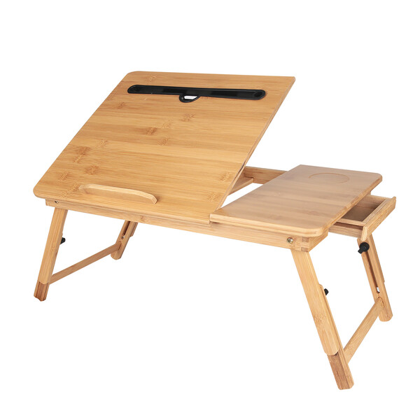 Tablet and laptop support Ginger