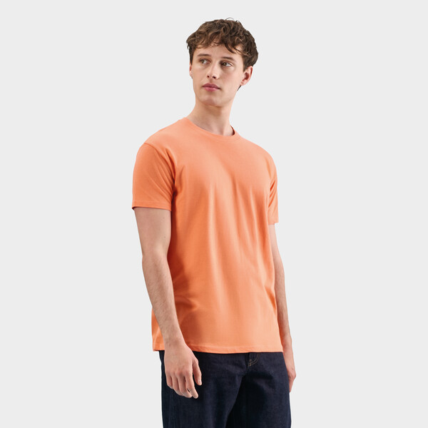 REGENT T-shirt unissex 150g - Alperce3XL