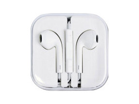 Earphones with microphone