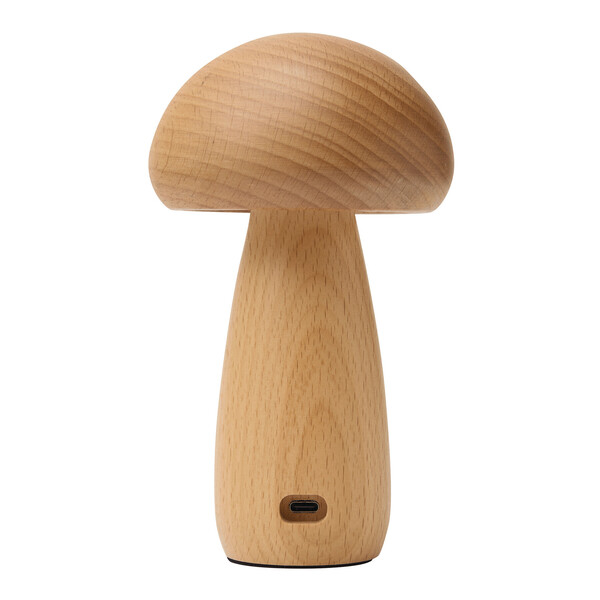 Led Desk Lamp Mosslight