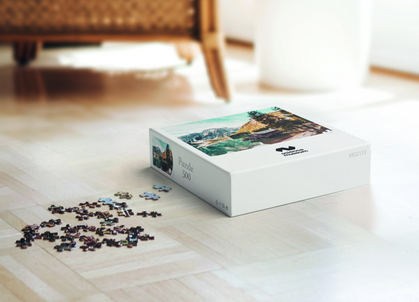500pcs custom design puzzle. Pazz