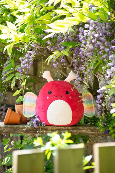 Squidgy's - Squidgy Ginger Cat