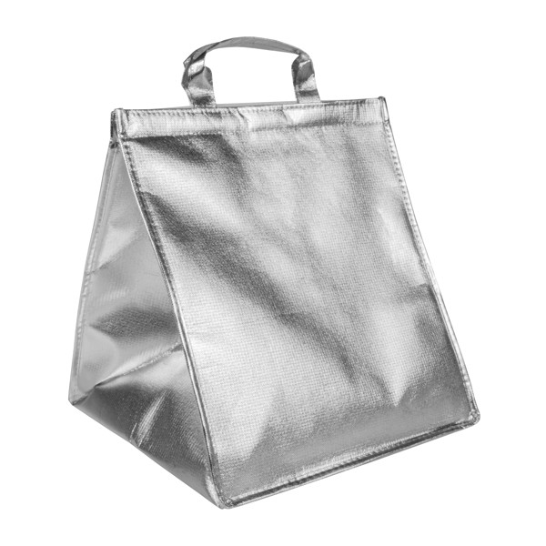 Laminated Non Woven Cooler Bag 120 G/M2 For Cake/Pizza, Velcro Closure,