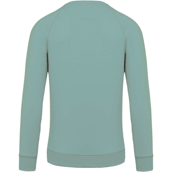 Men's Organic Cotton Crew Neck Raglan Sleeve Sweatshirt - Sage / S