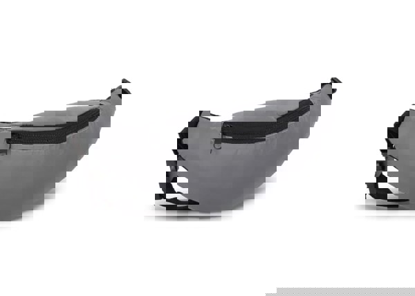 Reflective Zola Waist Bag