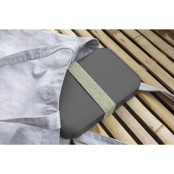 Amuse Recycled PP Lunch Box Large - Grey / Green