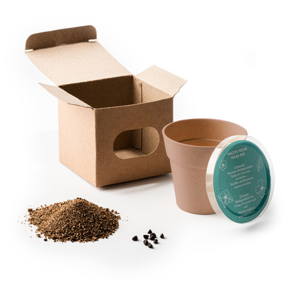 Maceta biodegradable personalizada con semillas de petunia