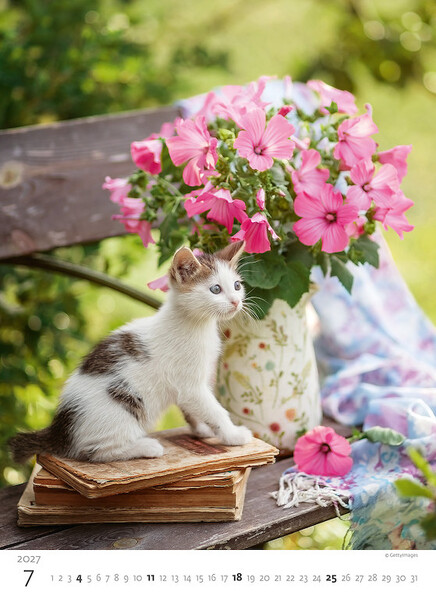 Calendar Kittens