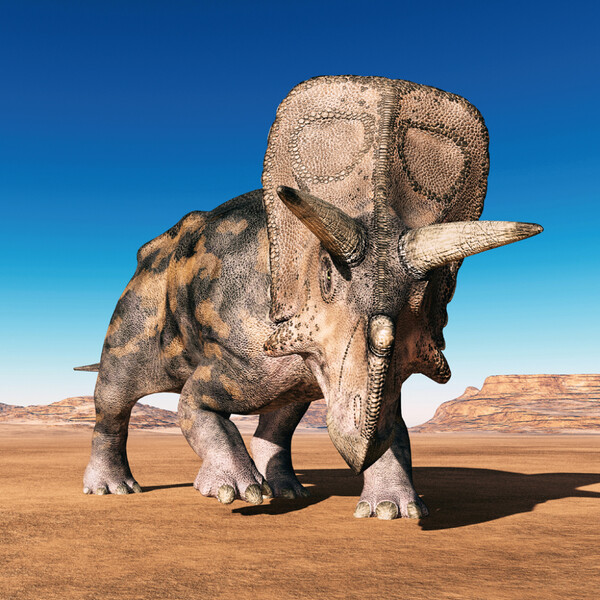 Notique Poznámkový Kalendář Dinosauři 2027, 30 x 30 cm - Východní