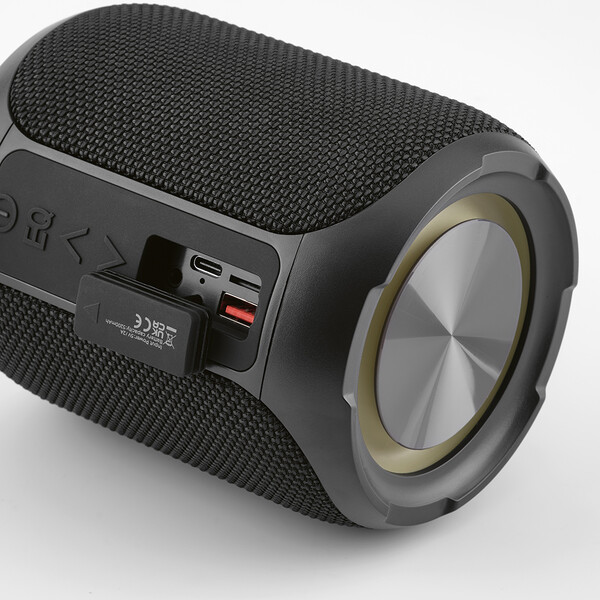 Avicenna Speaker
