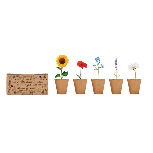 Flower growing kit, 5 seed types,paper box