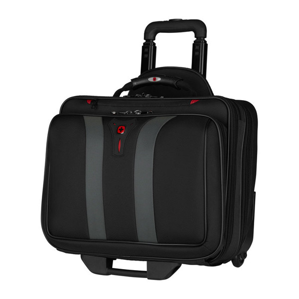 17" Wheeled Computer Case