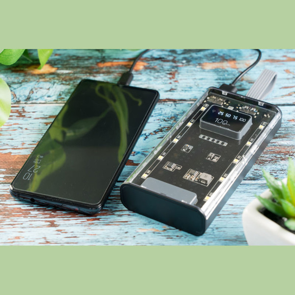 Power Bank Darwin 10,000 mAh