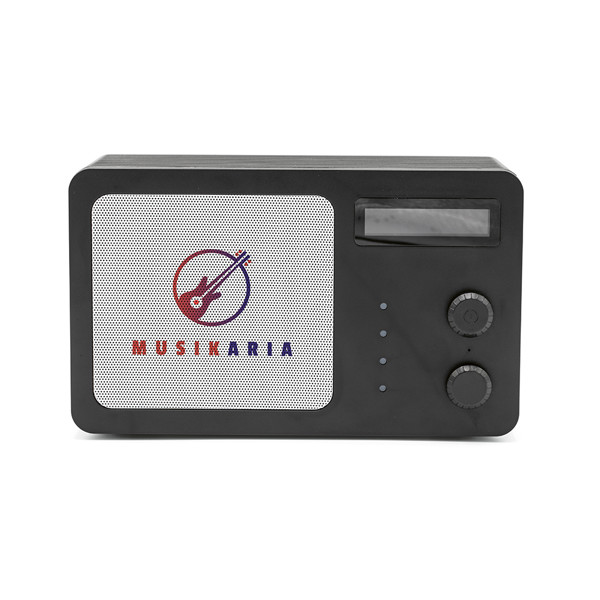 Soundview Speaker - Noir