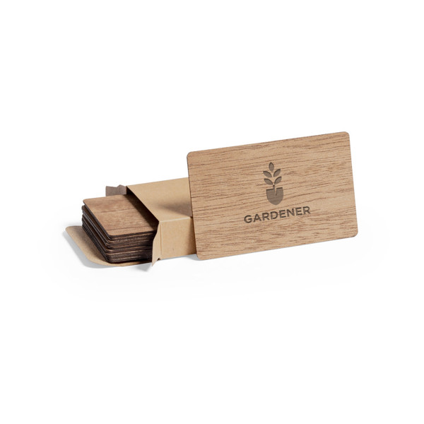 Set Cartões Inary
