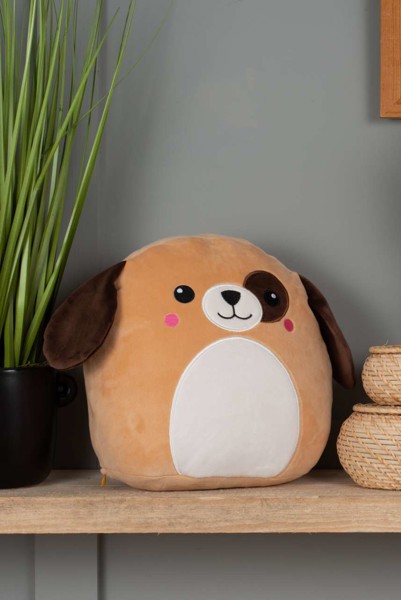 Squidgy's - Squidgy Ginger Cat