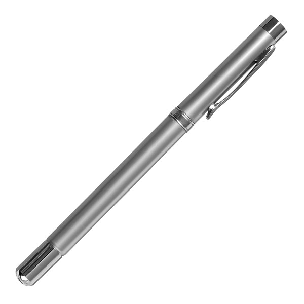 4-Function Pointer Pen with laser pointer - Silver