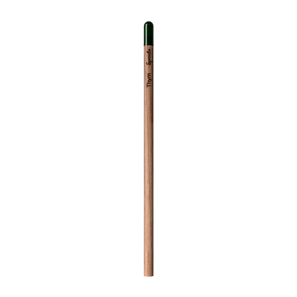 Sprout | Pencil - Thyme - French