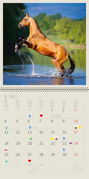 Calendar Horses