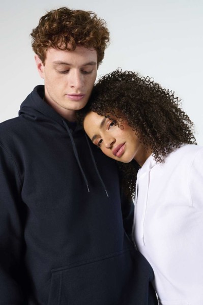 Sol's Snake - Unisex Hooded Sweatshirt - Ash / 2XL