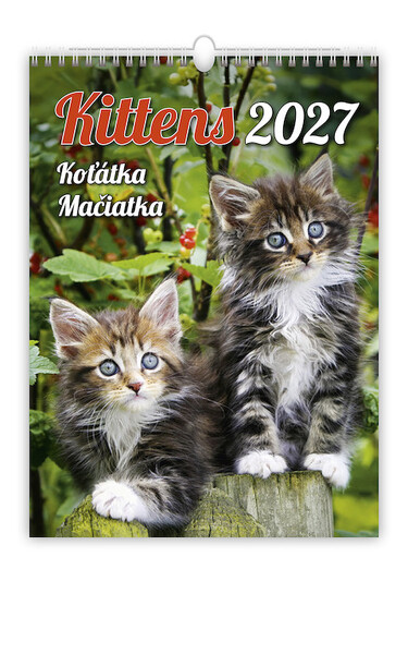 Calendar Kittens