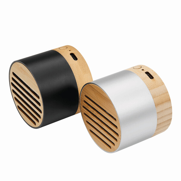 Wireless Speaker Pure Sound - Silver
