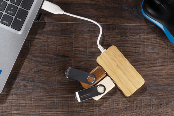 Bamboo splitter USB HUB with replaceable plug - RIVO