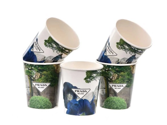 Double Wall Printed Paper Cup 8oz (200-250ml)