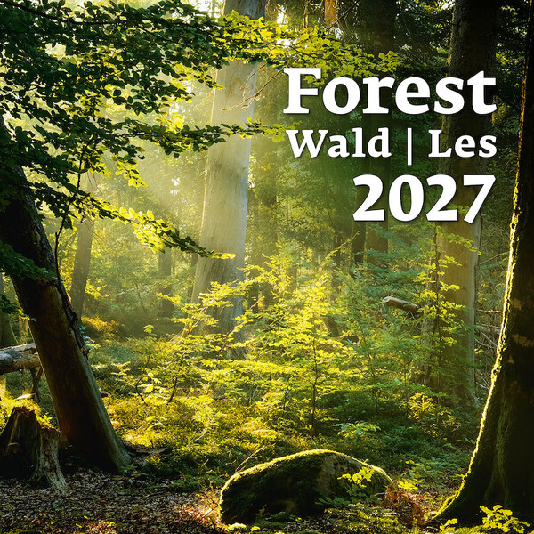 Nástěnný kalendář Les 2027