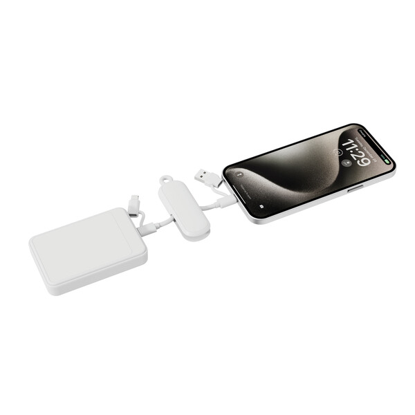 Urban Vitamin Dublin 100W 4 -in-1 keychain cable - White