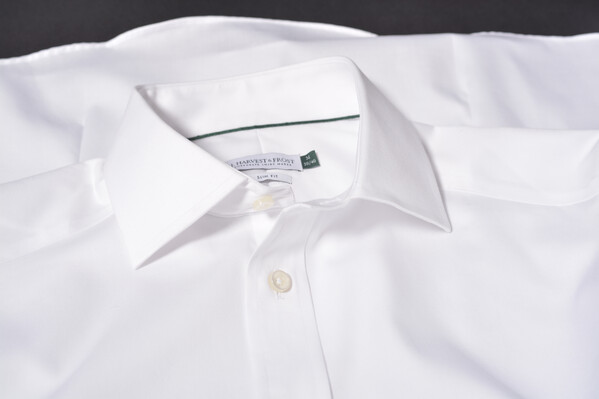 Green Bow 01 Regular fit White S