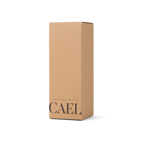 VINGA Cael RCS SS sip bottle 600ML - Black